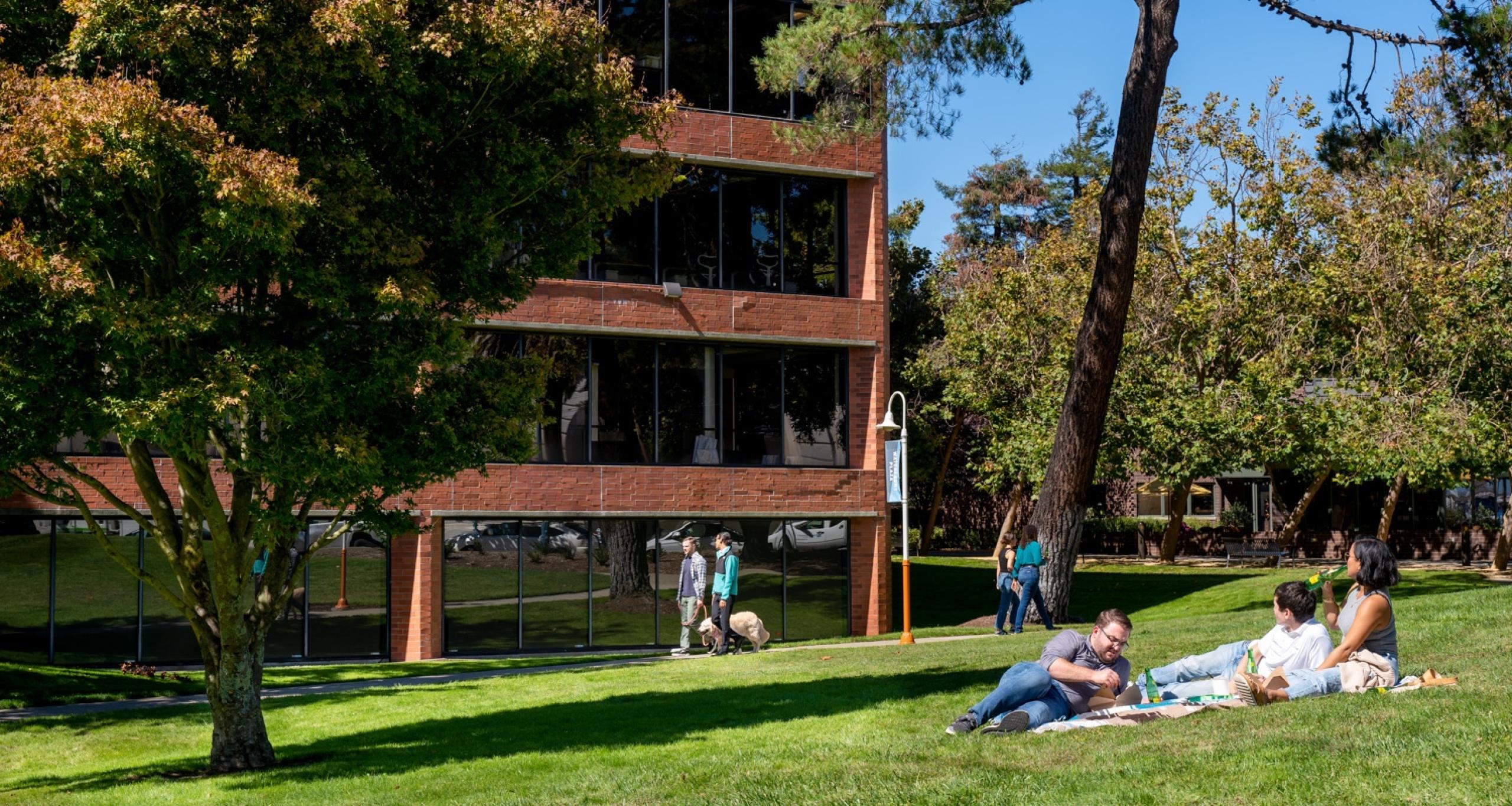 People laying on a blanket on the grass and walking on a path outside of Waterfront Plaza